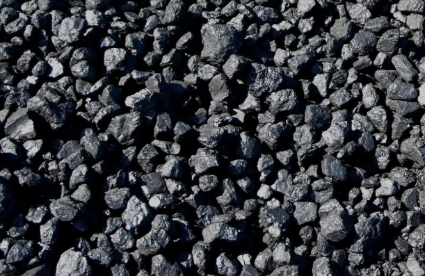 Pet Coke 1/5 mm